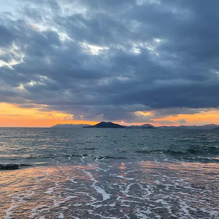 فيلة Mango فتحية